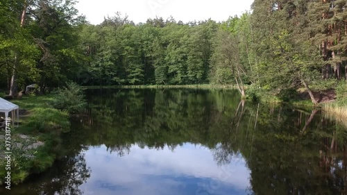 Forest lake in summer surrounded by coniferous green trees, a place to relax. View from the quadrocopter. Aerial photography.