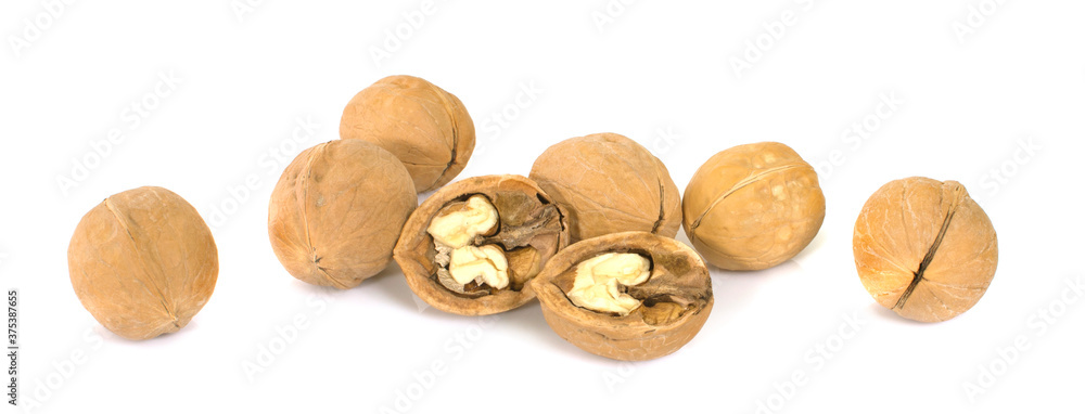 Walnuts an isolated on white background. Walnuts an isolated on white background.