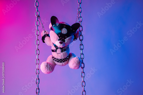 Fotografie toy bear dressed in leather belts harness accessory for BDSM games on a dark bac