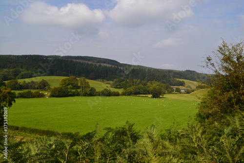 landscape in the mountains