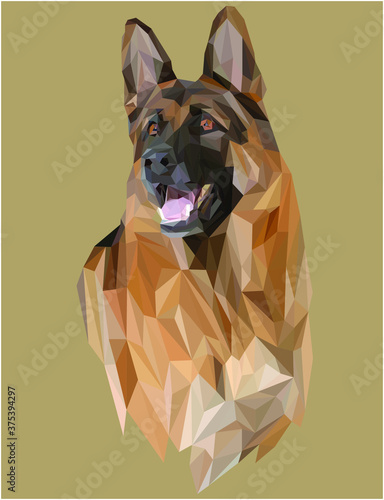 German Shepherd