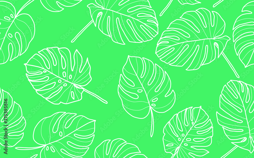 Seamless pattern with monstera leaves Pattern. Vector, Hand-drawn leaf silhouettes. outline illustration, Summer seamless pattern background.