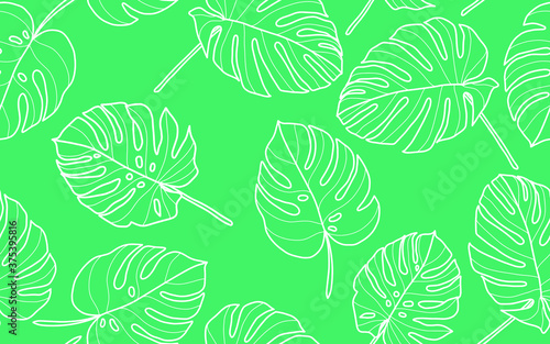 Seamless pattern with monstera leaves Pattern. Vector  Hand-drawn leaf silhouettes. outline illustration  Summer seamless pattern background.