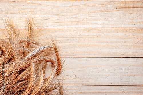 Barley malt. Whole, barley, harvest wheat sprouts. Wheat grain ear or rye spike plant isolated on brown wood plank background, for cereal bread flour. Top view.