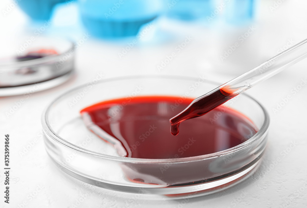 Dripping blood from pipette into Petri dish on table, closeup. Laboratory analysis Dripping blood from pipette into Petri dish on table, closeup. Laboratory analysis