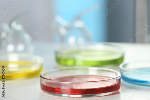 Petri dishes with liquid samples on table. Laboratory analysis