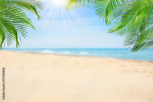 Sandy beach with palms near ocean on sunny day