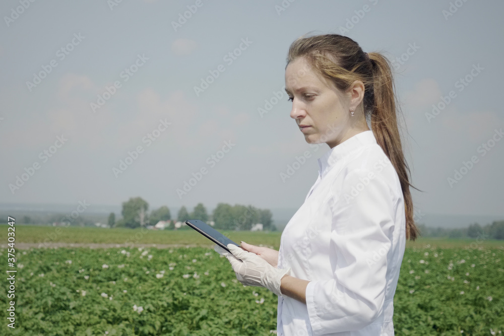 Female agronomist using tablet in agricultural field. Scientist working in cultivated field with agriculture technology. Close up of woman hand touching tablet pc in potato field. Female agronomist using tablet in agricultural field. Scientist working in cultivated field with agriculture technology. Close up of woman hand touching tablet pc in potato field.