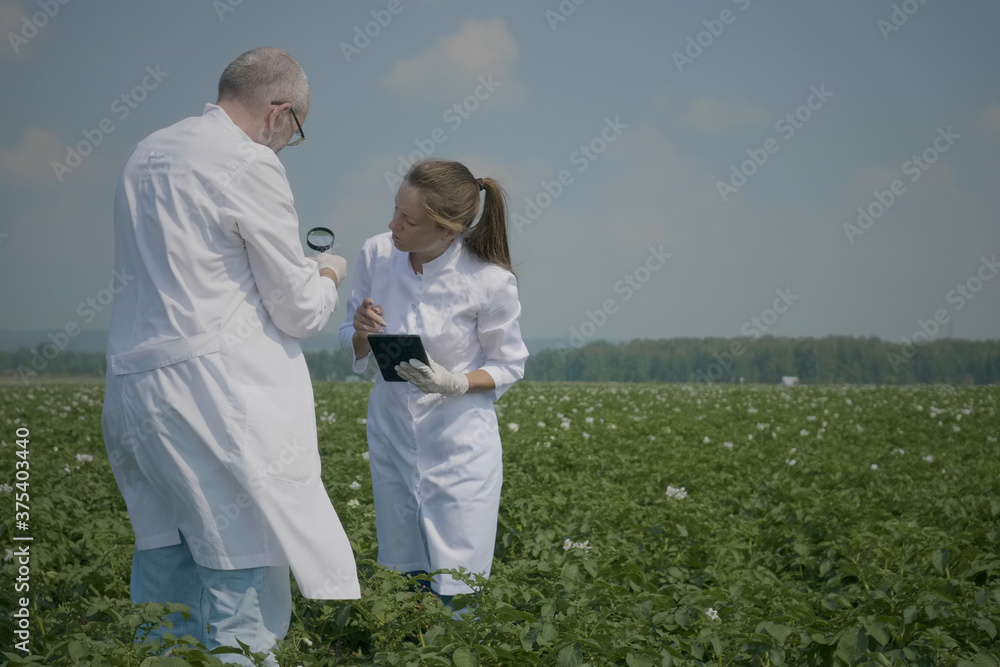 Group of scientists, young woman and senior man in white coats researching seedlings with magnifier. Agricultural business concept Group of scientists, young woman and senior man in white coats researching seedlings with magnifier. Agricultural business concept