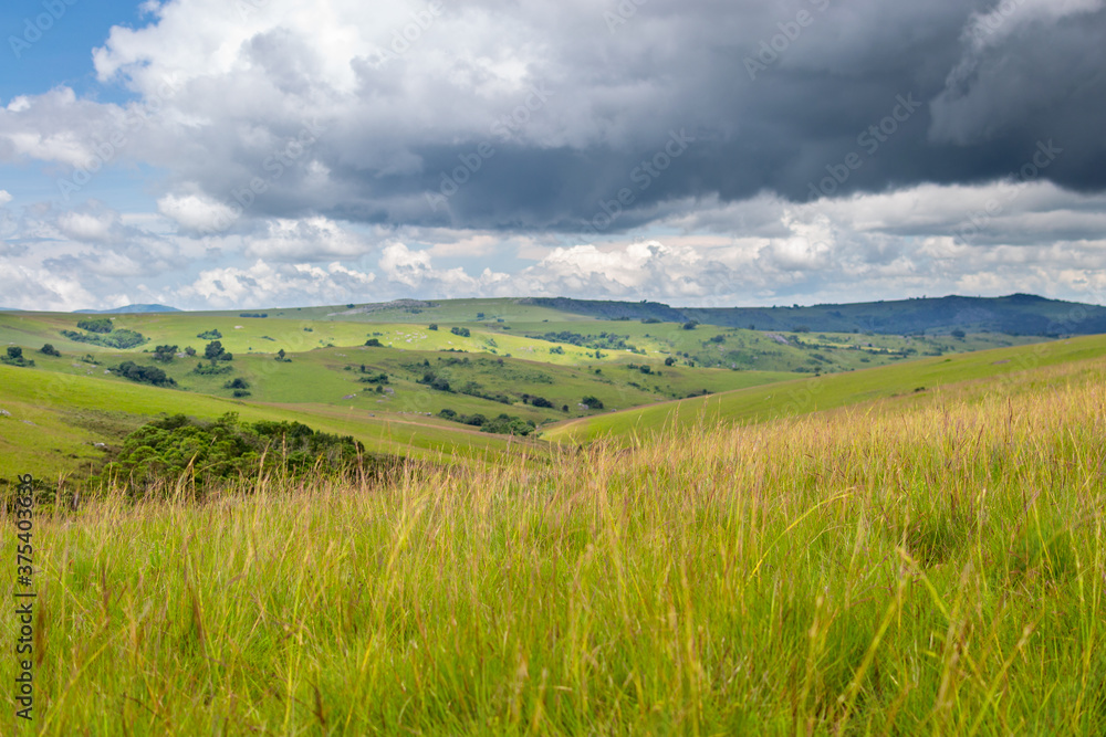 Dramatic landscape, rolling hills under thunderstorm clouds in Nyika National Park in Malawi, Africa