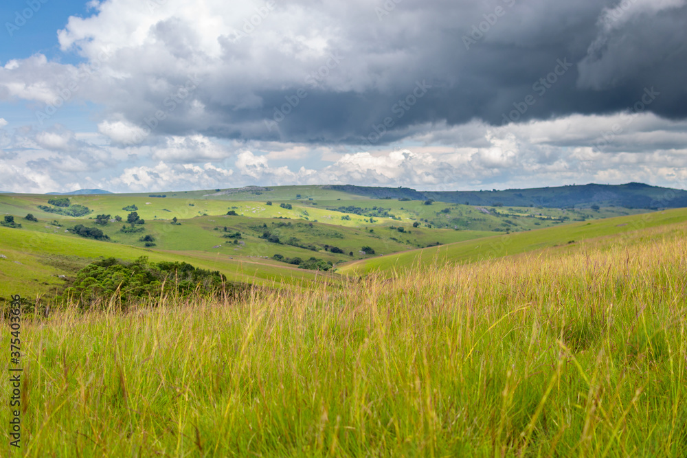 Dramatic landscape, rolling hills under thunderstorm clouds in Nyika National Park in Malawi, Africa Dramatic landscape, rolling hills under thunderstorm clouds in Nyika National Park in Malawi, Africa