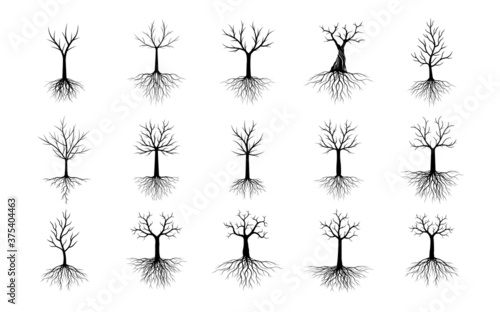 Set black Trees with Leaves and Roots. Vector outline Illustration. Plant in Garden.