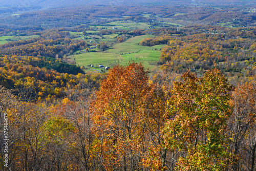 Autumn foliage in Shenandoah National Park - Virginia, USA