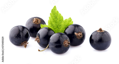 Black currant berries with leaf on White Background