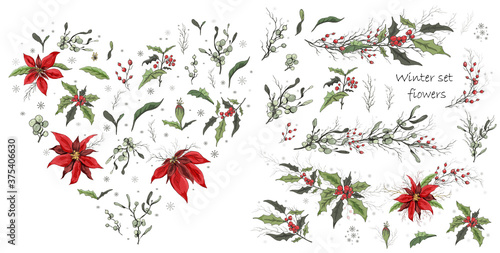 Set of winter flowers (poinsettia, white mistletoe, Holly) isolated on a white background. realistic hand-drawn doodles, colorful ornaments, decorations for seasonal cards, posters. Vintage style