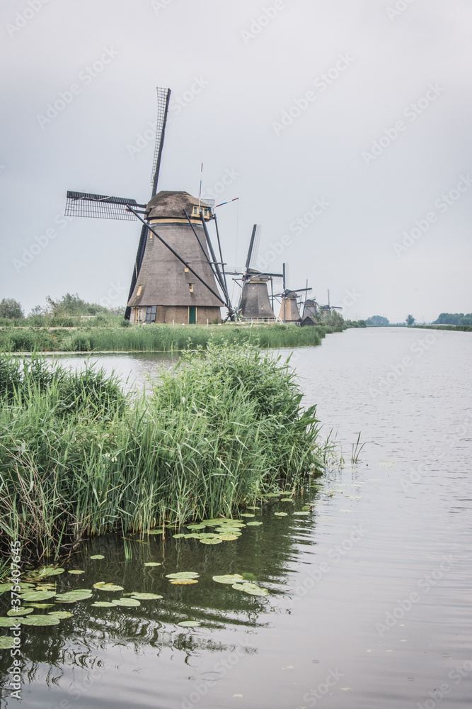 Iconic Dutch Windmills in Kinderdijk, Netherlands