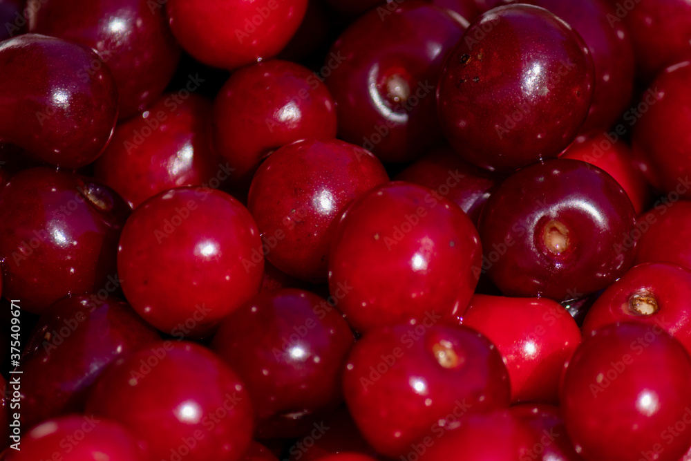 Background or texture of freshly picked red cherries. Various shades of red. Natural vitamins. Natural background. Background or texture of freshly picked red cherries. Various shades of red. Natural vitamins. Natural background.
