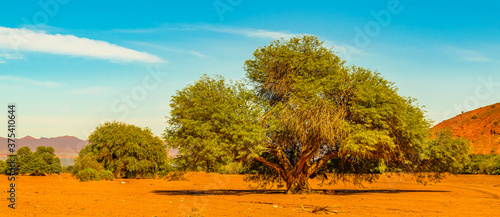 Talampaya National Park, La Rioja, Argentina