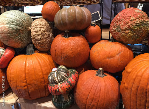 Group of pumpkins on stall at european market in halloween days