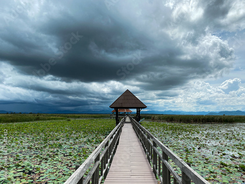 The wooden bridge pathway over the pond under the cloudy sky in Thailand