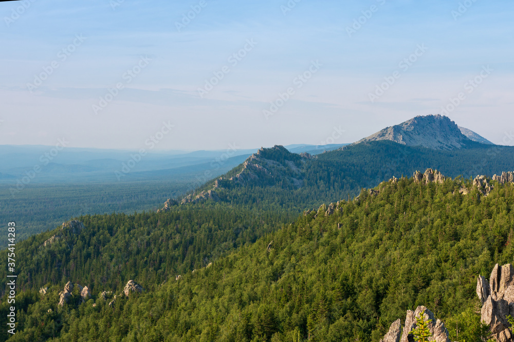 Fototapeta premium forest in the mountains on a summer day