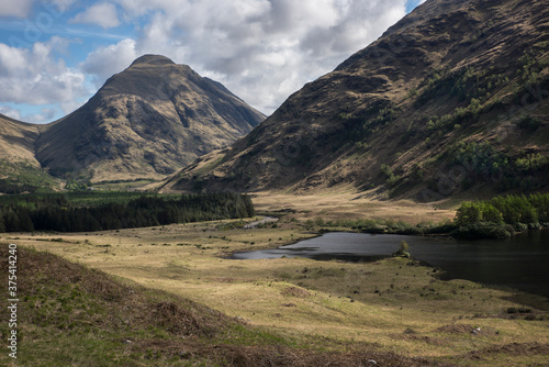 green pastures in Glen Etive photo