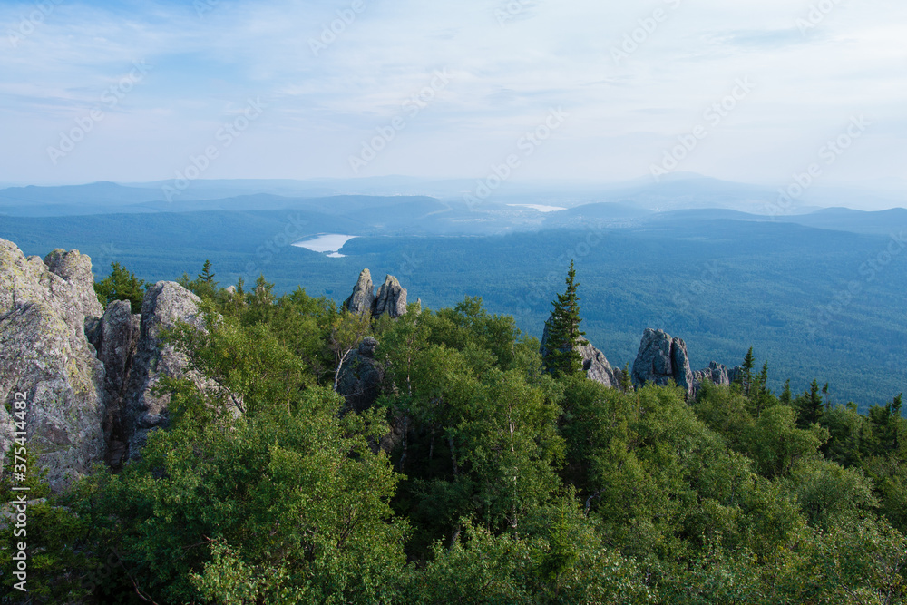 Fototapeta premium forest in the mountains on a summer day