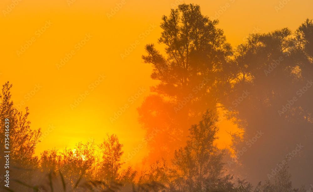 The edge of a misty lake at sunrise in an early bright summer morning with a colorful sky in sunlight, Almere, Flevoland, The Netherlands, September 2, 2020 The edge of a misty lake at sunrise in an early bright summer morning with a colorful sky in sunlight, Almere, Flevoland, The Netherlands, September 2, 2020