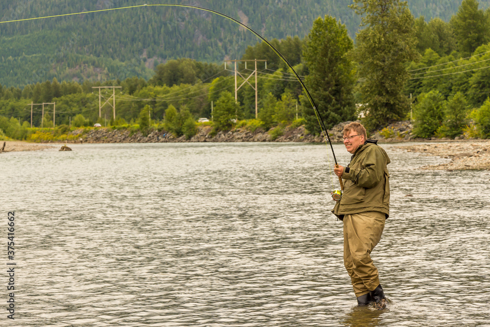 A fly fisherman hooked into a salmon on the Kitimat River, in British Columbia A fly fisherman hooked into a salmon on the Kitimat River, in British Columbia