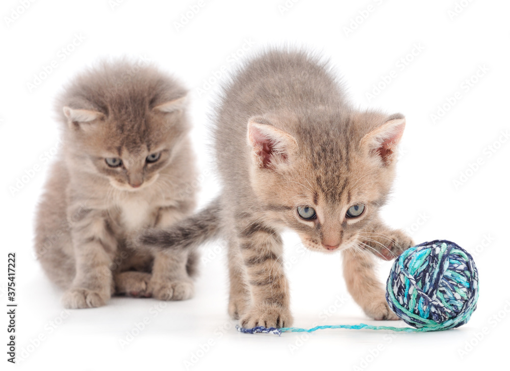 Little kittens playing with a ball of yarn.