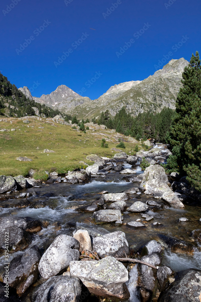 Mountain river in Marcadau Valley in the High French Pyrenees, near Cauterets, France, Europe Mountain river in Marcadau Valley in the High French Pyrenees, near Cauterets, France, Europe