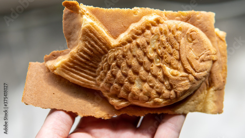 Taiyaki Japanese filled fish shaped pastry hand held point of view. Popular convenient snack commonly filled with bean paste, custard, or sweet potato in a waffle like batter. (ID: 375418027)