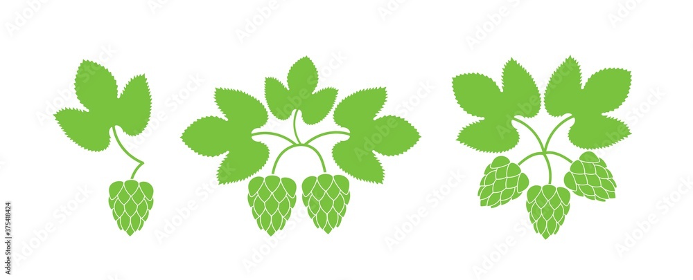 Hop logo. Isolated hop on white background. Branch Hop logo. Isolated hop on white background. Branch