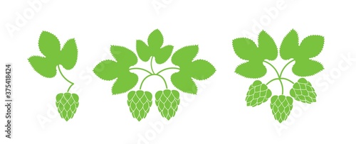 Hop logo. Isolated hop on white background. Branch 