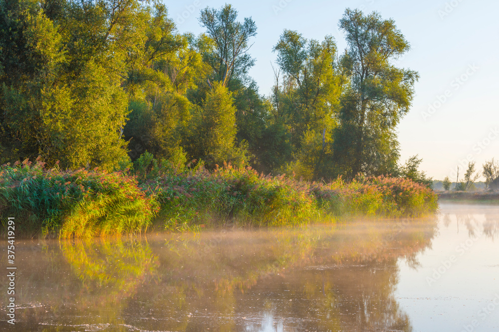 Fototapeta premium The edge of a misty lake at sunrise in an early bright summer morning with a colorful sky in sunlight, Almere, Flevoland, The Netherlands, September 2, 2020