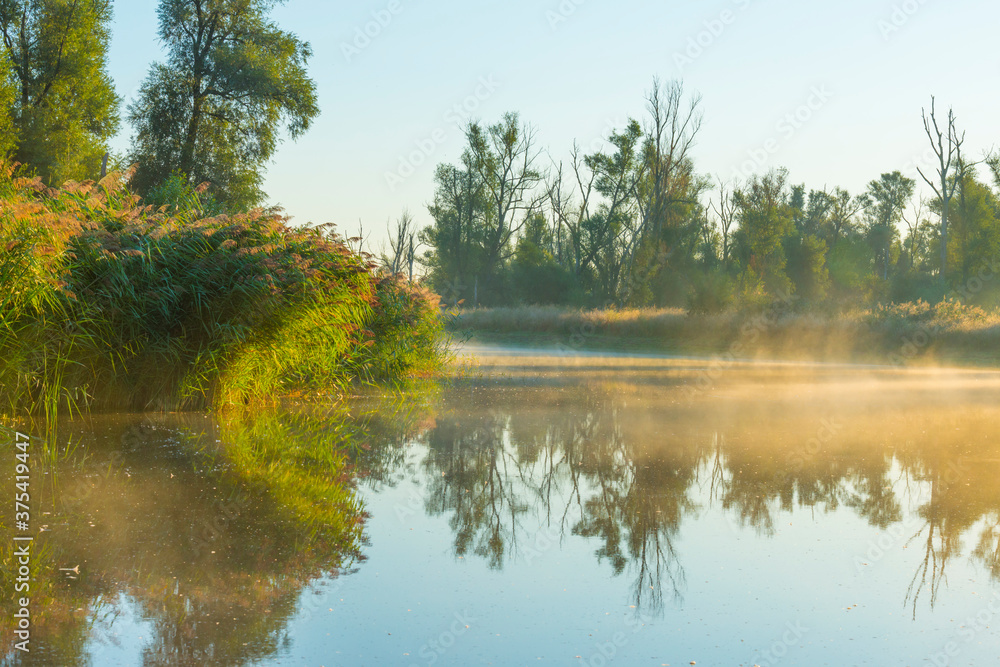The edge of a misty lake at sunrise in an early bright summer morning with a colorful sky in sunlight, Almere, Flevoland, The Netherlands, September 2, 2020 The edge of a misty lake at sunrise in an early bright summer morning with a colorful sky in sunlight, Almere, Flevoland, The Netherlands, September 2, 2020
