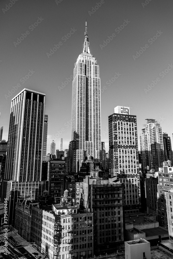 New York's landscape. The skyscraper of the city.