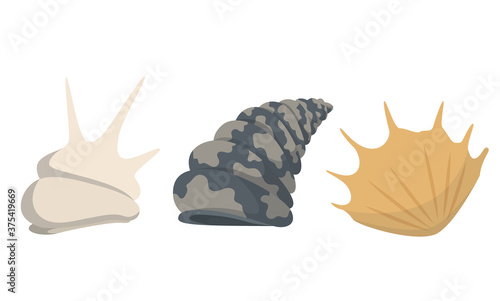 Colorful tropical sea shells underwater icon collection. Marine set cute stickers on the white background. Vector illustration. Perfect for invitations, greeting cards posters banners and flyer