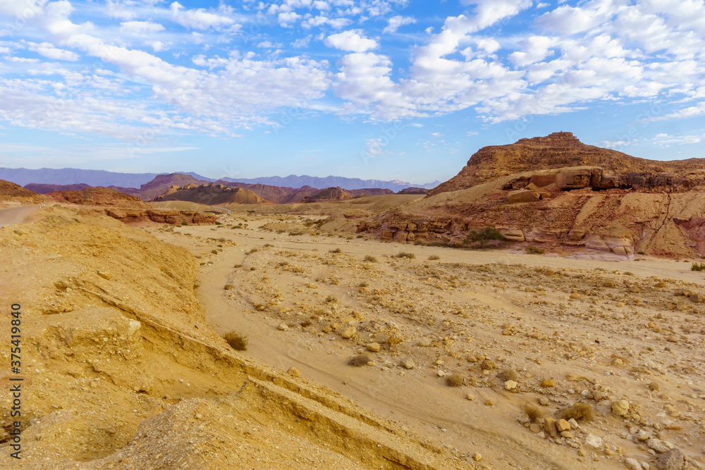Landscape in the Timna Valley