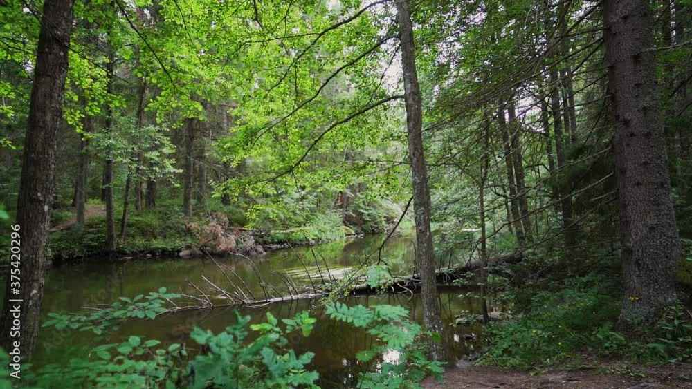 Outcrops of Devonian sandstone on the banks of Ahja river, Estonia. Slow motion Outcrops of Devonian sandstone on the banks of Ahja river, Estonia. Slow motion