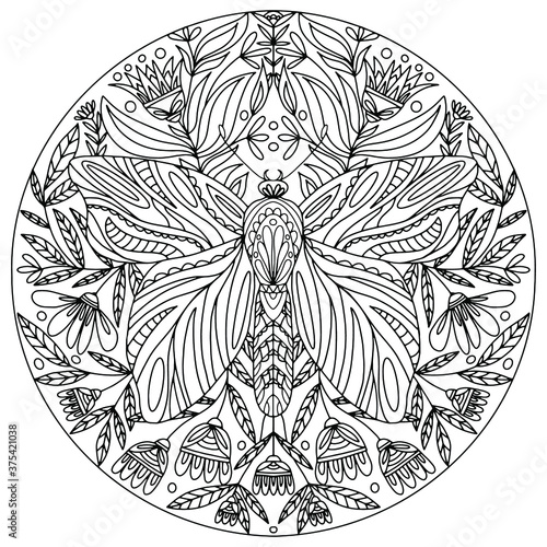 butterfly with ornaments drawn on a background decorated with plants folk style for coloring, vector, mandala photo