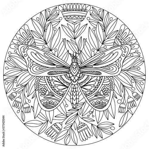 mandala with butterfly decorated with ornaments on a white background decorated with flowers folk style for coloring, vector, mandala photo