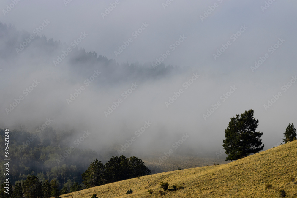 Fog on Grouse Mountain