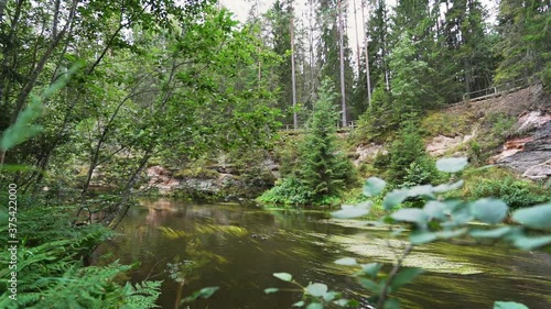 Outcrops of Devonian sandstone on the banks of Ahja river, Estonia. Slow motion  photo