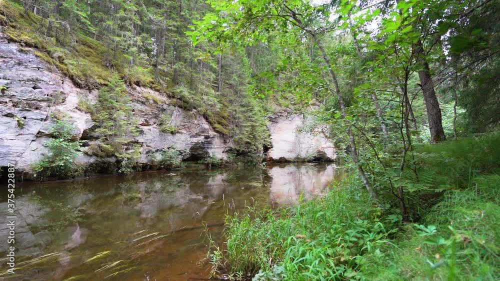 Outcrops of Devonian sandstone on the banks of Ahja river, Estonia. Slow motion Outcrops of Devonian sandstone on the banks of Ahja river, Estonia. Slow motion