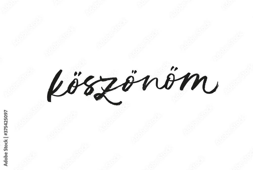 Koszonom ink brush vector lettering. Thank you in Hungarian. Modern phrase handwritten vector calligraphy. Black paint lettering isolated on white background. Postcard, greeting card, t shirt print. Koszonom ink brush vector lettering. Thank you in Hungarian. Modern phrase handwritten vector calligraphy. Black paint lettering isolated on white background. Postcard, greeting card, t shirt print.
