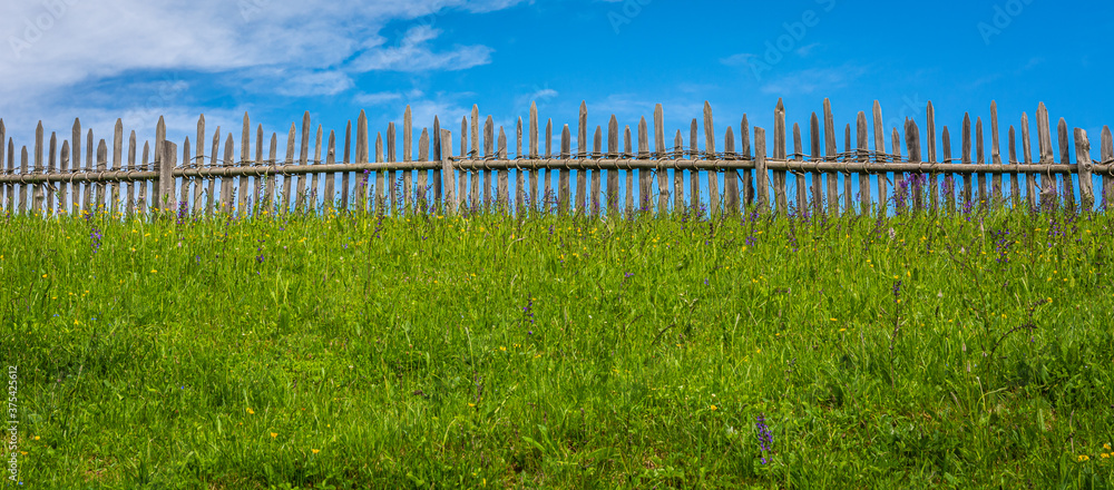 flower meadow and green grass in front of a wooden fence against a blue sky and clouds. concept of quiet and silence