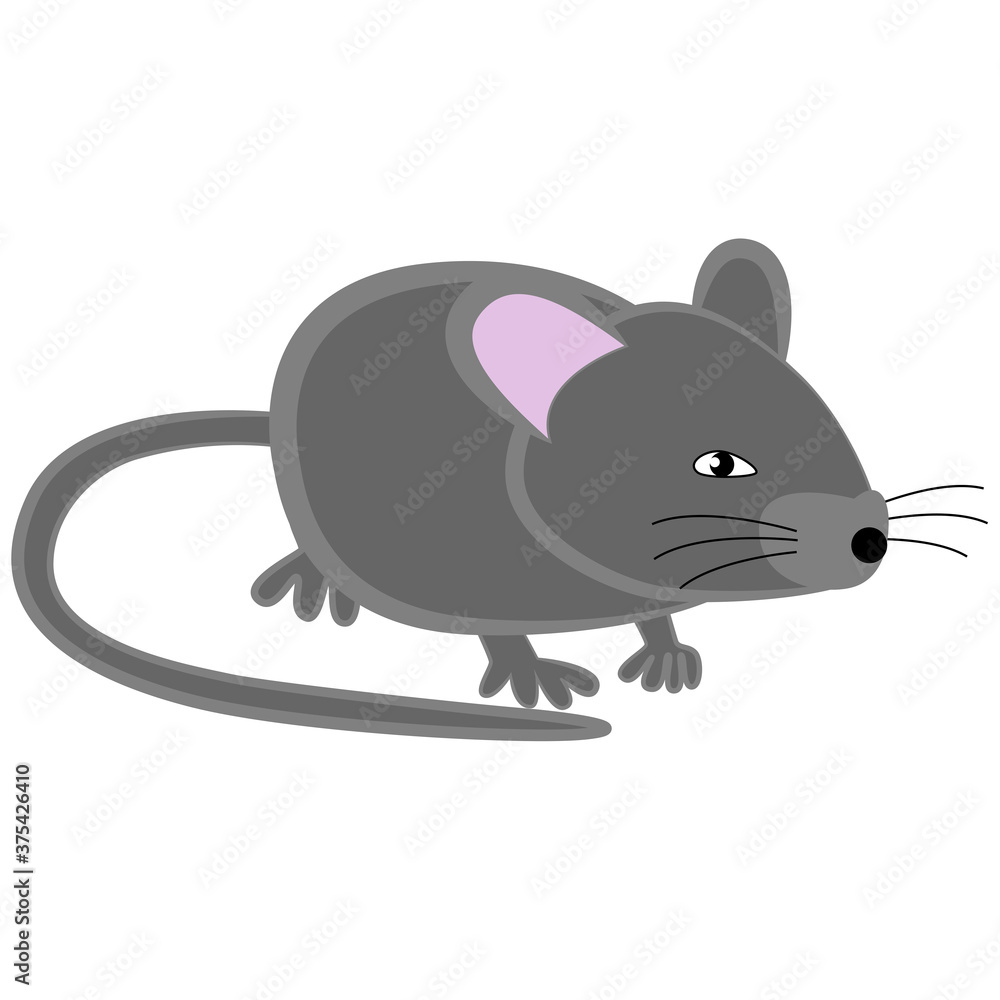 Obraz premium Gray house mouse on a white background.