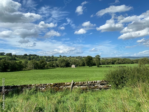 Solitary barn, in a large green meadow, with dry stone walls, wild plants and old trees by the, B6160, Newbiggin, Leyburn, UK photo