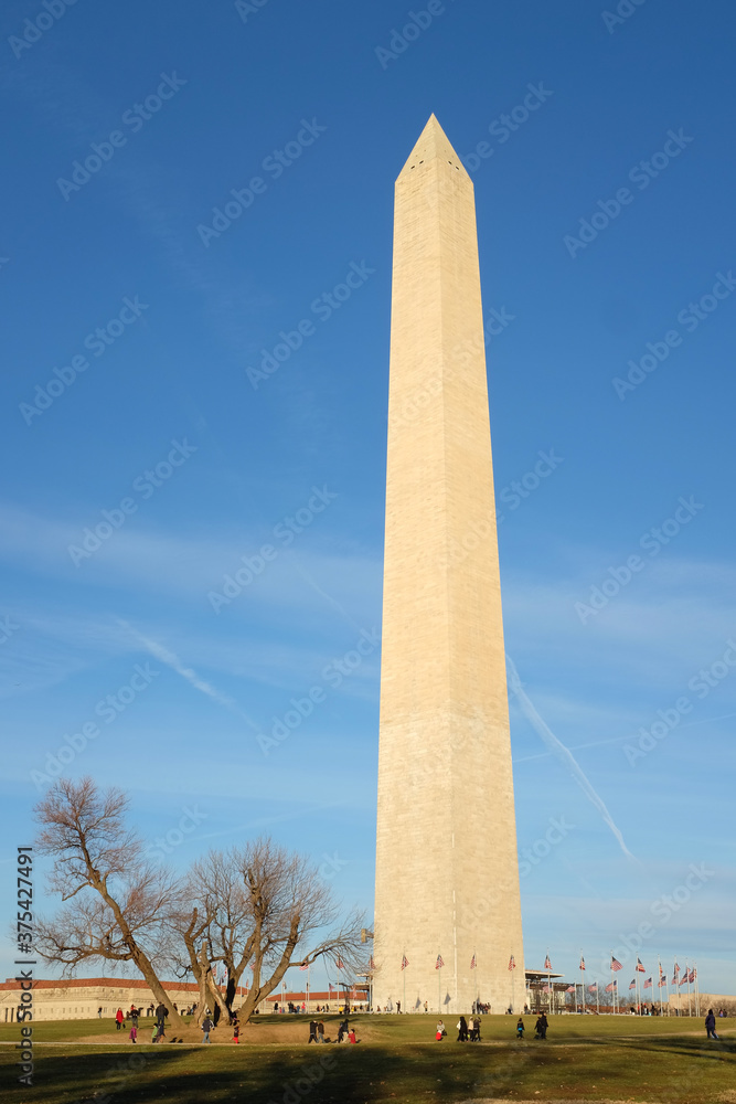 Washington Monument and Capitol - Washington D.C. United States of America